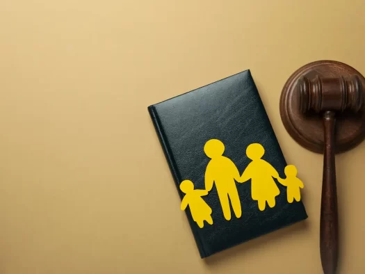 Family Law Services in Parma Ohio